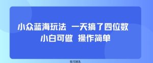 小众蓝海玩法 一天搞了四位数 小白可做 操作简单-16888副业资讯