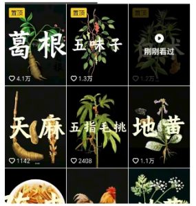 抖音中草药赛道,用AI做中草药故事视频,45条作品涨粉13W,橱窗带货猛猛出单-16888副业资讯