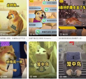 狗头幸运星UE5动画全套课程,从入门到实操全掌握-16888副业资讯