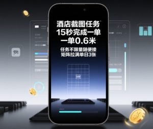 酒店截图任务，15秒完成一单，一单0.6米，任务不限量随便接，矩阵拉满单日3张【揭秘】-16888副业资讯