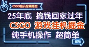 25年底搞钱回家过年,CSGO游戏挂G掘金,纯手机操作超简单【揭秘】-16888副业资讯