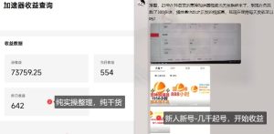 游戏加速器项目4.0_最新打法思路(爱玩游戏也能边玩边被动收益)-16888副业资讯