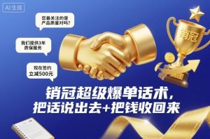 销冠超级爆单话术，把话说出去+把钱收回来-16888副业资讯