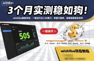 3个月实测稳如狗！wishlba最新项目，一键运行日入50美刀，单窗口躺挣，保姆级教程全给你【揭秘】-16888副业资讯