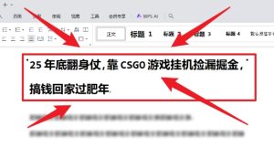 25年底翻身仗,靠CSGO游戏挂G捡漏掘金,搞钱回家过肥年【揭秘】-16888副业资讯
