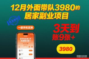 12月外面带队3980的居家副业项目,一部手机实测3天到账9张+,首发教程【揭秘】-16888副业资讯