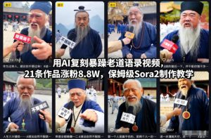 用AI复刻暴躁老道语录视频，21条作品涨粉8.8W，保姆级Sora2制作教学-16888副业资讯