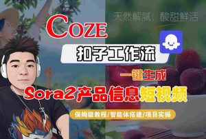 Coze扣子智能体工作流一键生成“SORA2产品信息“短视频，全流程保姆级教学-16888副业资讯