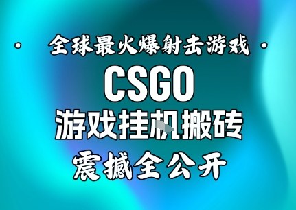 【年底大揭秘】基于全球最火爆的射击CSGO游戏挂G搬砖，日入5张+，震撼公开-16888副业资讯