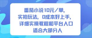 番茄小说10米每单,实拍玩法,0成本好上手,详细实操教程和平台入口适合大部分人-16888副业资讯