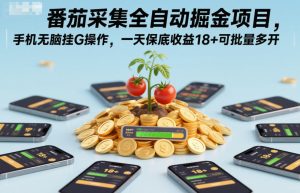 番茄采集全自动掘金项目，手机无脑挂G操作，一天保底收益18+可批量多开【揭秘】-16888副业资讯