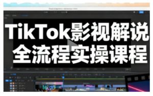 TikTok影视解说全流程实操,手把手教你打造TK爆款解说视频-16888副业资讯