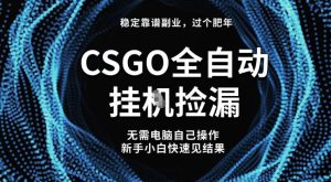【稳定副业】全球最热门游戏CSGO全自动捡漏,最新玩法,新手小白日入5张+【揭秘】-16888副业资讯