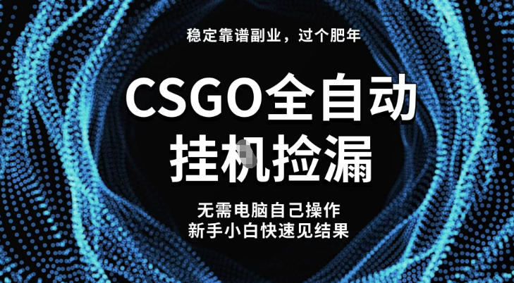 【稳定副业】全球最热门游戏CSGO全自动捡漏，最新玩法，新手小白日入5张+【揭秘】-16888副业资讯