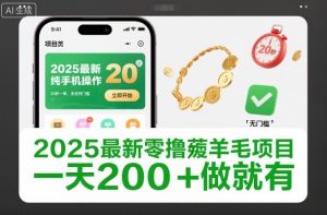 2025最新零撸薅羊毛项目,纯手机操作,20秒一单,无任何门槛,一天200+做就有【揭秘】-16888副业资讯