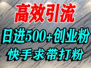 怎么打创业粉?快手求带视角精准引流创业粉,宝妈、学生群体日进500+精准流量-16888副业资讯