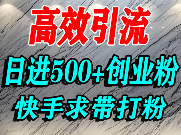 怎么打创业粉？快手求带视角精准引流创业粉，宝妈、学生群体日进500+精准流量-16888副业资讯