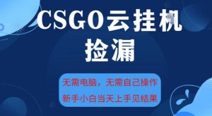 CSGO云挂G全自动捡漏,最新独家玩法,无需电脑操作,新手小白日入5张+【揭秘】-16888副业资讯