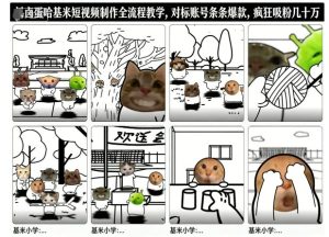 卤蛋哈基米短视频制作全流程教学,条条爆款,疯狂吸粉几十万-16888副业资讯