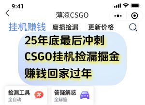12月年底抓紧最后一个月,用CSGO游戏挂G捡漏掘金賺钱掘金,一部手机轻松日入5张+【揭秘】-16888副业资讯