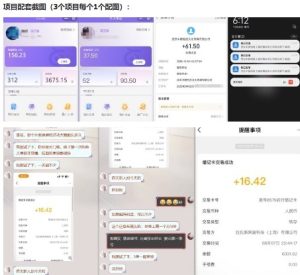 当天能收益的3个小项目拆解_包括平台+操作流程-16888副业资讯