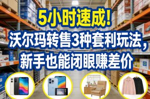 5小时速成！沃尔玛转售3种套利玩法，新手也能闭眼賺差价-16888副业资讯