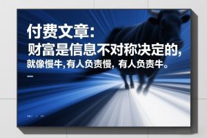 付费文章：财富是信息不对称决定的，就像慢牛，有人负责慢，有人负责牛-16888副业资讯