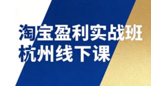 淘宝盈利实战班杭州线下课12月26-28日（音频+字幕），帮你掌握SOP流程+12门核心技术-16888副业资讯