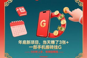 年底新项目，当天賺了3张+，一部手机搬砖挂G，5分钟上手，保姆级教程【揭秘】-16888副业资讯