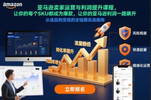 亚马逊卖家运营与利润提升课程，让你的每个SKU都成为爆款，让你的亚马逊利润一路飙升（更新12月）-16888副业资讯