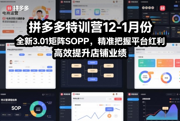 拼多多特训营12-1月份，全新3.01矩阵Sop，精准把握平台红利，高效提升店铺业绩-16888副业资讯