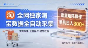 全网独家，淘宝数据全自动采集项目，批量可矩阵，单机轻松日入300【揭秘】-16888副业资讯