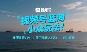 视频号蓝海小众玩法！外面收费399，零门槛日入3张+，老少皆宜-16888副业资讯