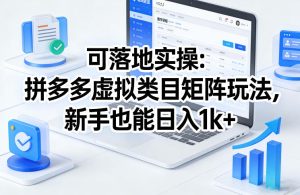 可落地实操：拼多多虚拟类目矩阵玩法，新手也能日入1k+【揭秘】-16888副业资讯