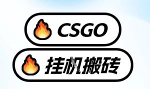 真全网独家CSGO挂G，最新玩法,单日捡漏1K+，不用电脑，不用打游戏【揭秘】-16888副业资讯