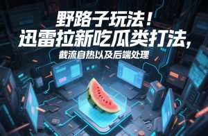 野路子玩法！迅雷拉新吃瓜类打法，截流自热以及后端处理-16888副业资讯