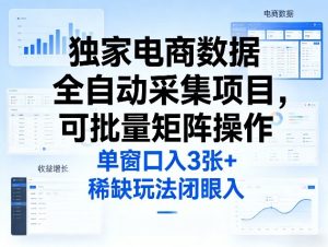 独家电商数据全自动采集项目，可批量矩阵操作，单窗口日入3张+，稀缺玩法闭眼入【揭秘】-16888副业资讯