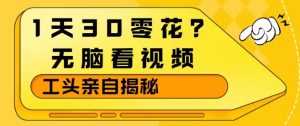 1天30零花？无脑看视频，大佬亲自揭秘-16888副业资讯