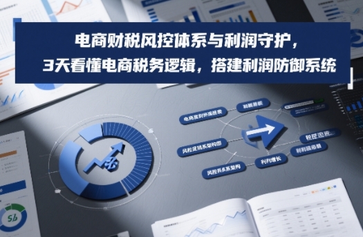 电商财税风控体系与利润守护，3天看懂电商税务逻辑，搭建利润防御系统-16888副业资讯