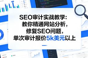 SEO审计实战教学：教你精通网站分析，修复SEO问题，单次审计报价5k美元以上-16888副业资讯