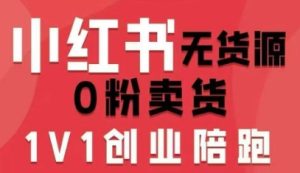 小红书无货源0粉电商课，开店准备、选品策略、笔记撰写、视频剪辑、数据分析、账号打造、资料文档（更新）-16888副业资讯