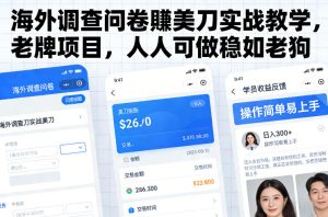 海外调查问卷賺美刀实战教学，老牌项目，人人可做稳如老狗-16888副业资讯