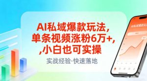 AI私域爆款玩法，单条视频涨粉6W+，小白也可实操-16888副业资讯