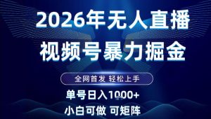 2026最新视频号无人直播掘金，全网首发，小白可以玩，长期稳定日入1k+【揭秘】-16888副业资讯