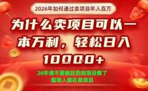 一单净利润1K+，26年想年入100个W，死磕卖项目就够了【揭秘】-16888副业资讯