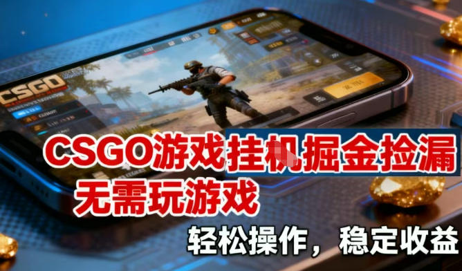 CSGO游戏挂G掘金捡漏，不需要玩游戏，操作简单，收益稳定【揭秘】-16888副业资讯
