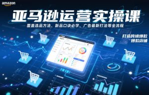 亚马逊运营实操课,覆盖选品方法、新品口诀必学、广告最新打法等全流程,打造跨境爆款店铺-16888副业资讯