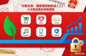 付费文章：国家看好的机会(二)：六大新消费及其新增量-16888副业资讯