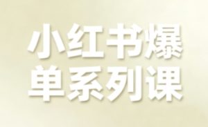 小红书爆单系列课，聚焦小红书电商全链路增长（更新）-16888副业资讯