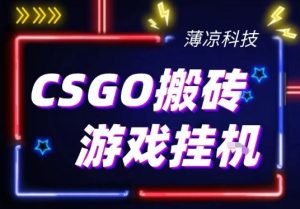 CSGO游戏挂G游戏搬砖最新升级，普通小白一部手机可日入3张+当天见结果，支持验证【揭秘】-16888副业资讯